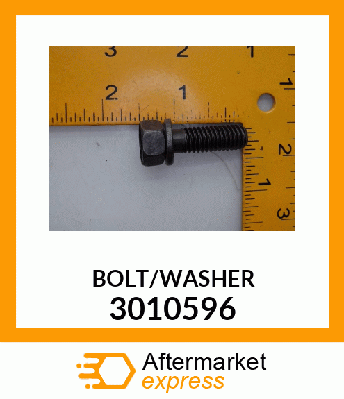 BOLT/WASHER 3010596