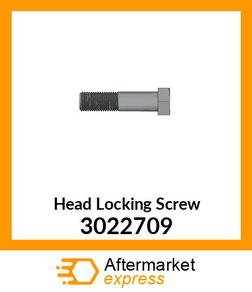 Head Locking Screw 3022709