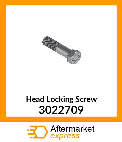 Head Locking Screw 3022709