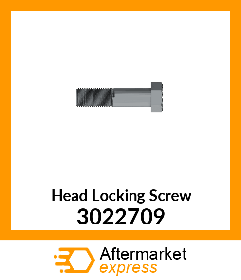 Head Locking Screw 3022709