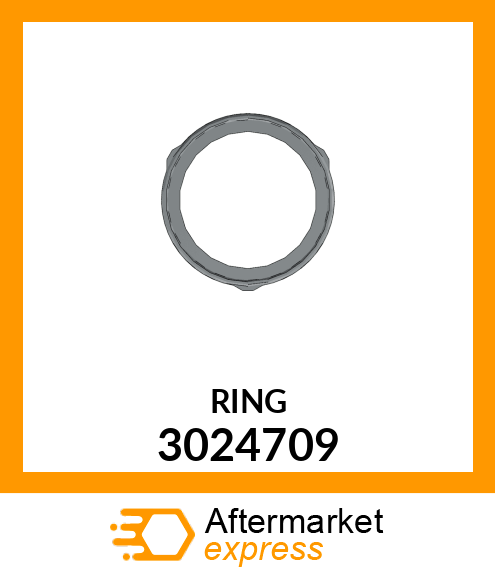 RING 3024709