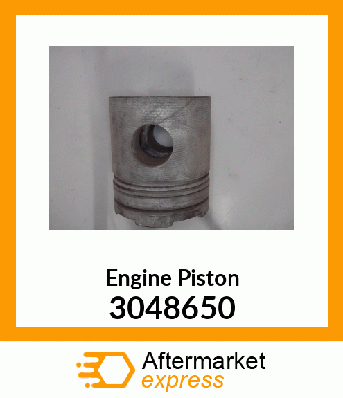 PISTON BODY C/W CLIPS 3048650