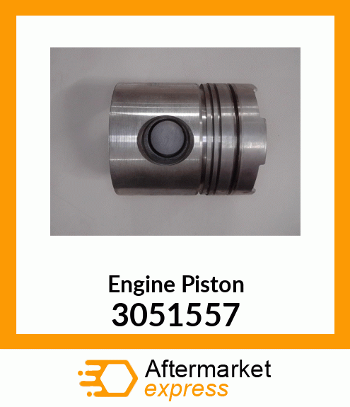 PISTON BODY C/W CLIPS (3051557) 3051557