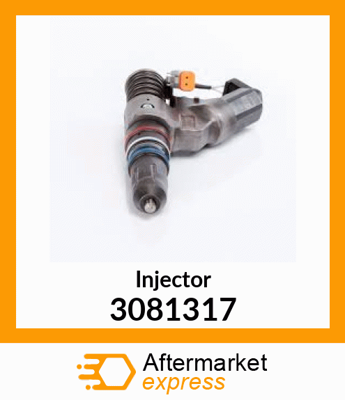 Injector 3081317