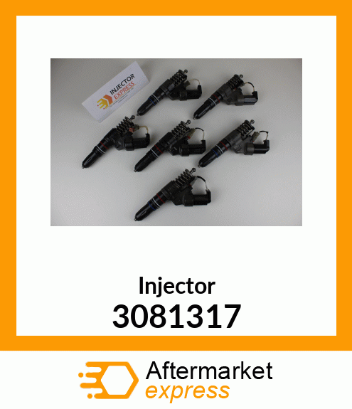 Injector 3081317