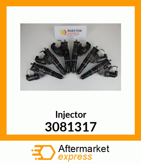 Injector 3081317