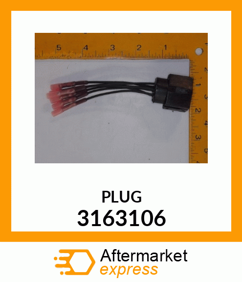 PLUG 3163106