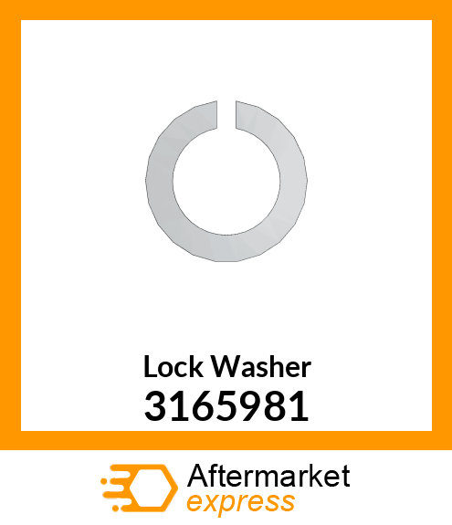 Lock Washer 3165981