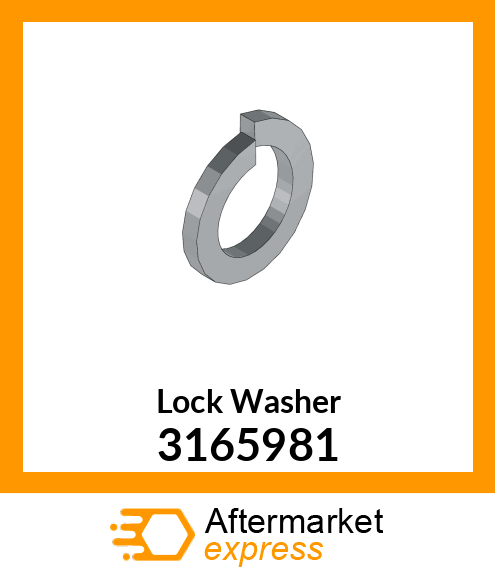 Lock Washer 3165981