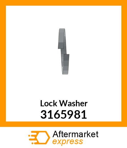 Lock Washer 3165981