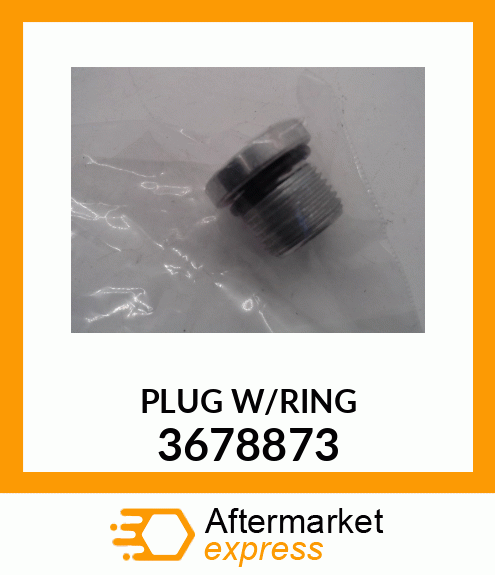 PLUGW/RING 3678873