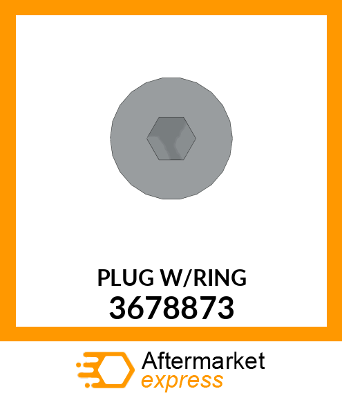 PLUGW/RING 3678873