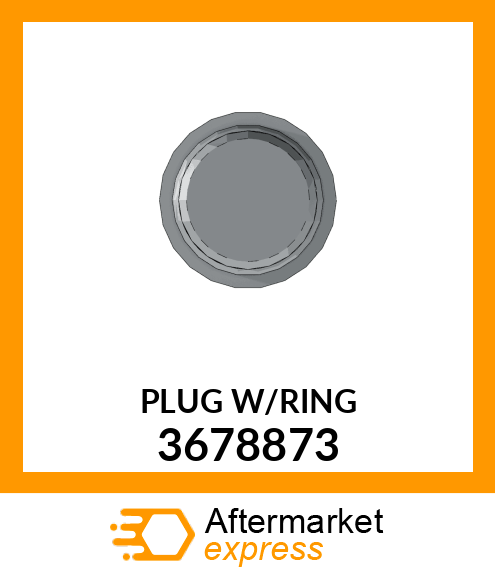 PLUGW/RING 3678873