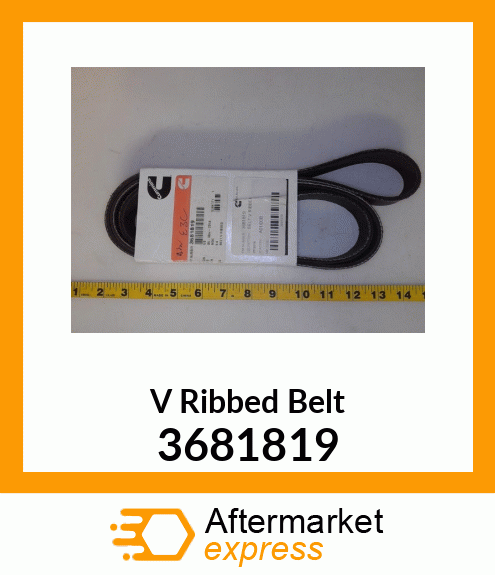 BELT 3681819