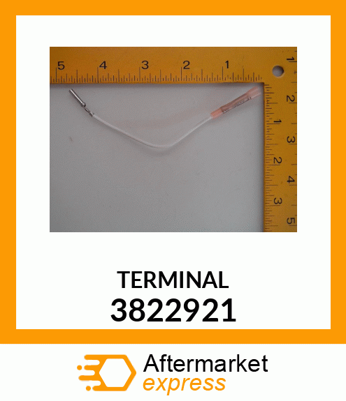 TERMINAL 3822921