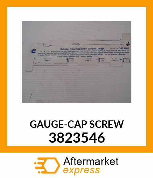 GAUGE-CAP_SCREW 3823546