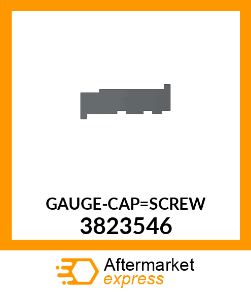 GAUGE-CAP_SCREW 3823546