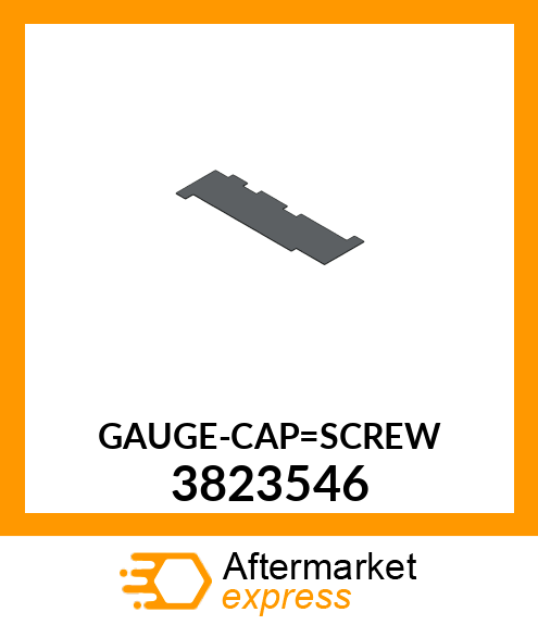 GAUGE-CAP_SCREW 3823546