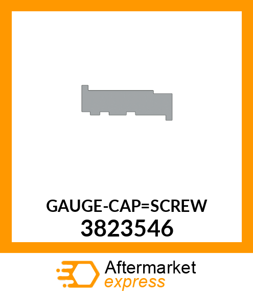 GAUGE-CAP_SCREW 3823546