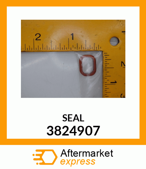 SEAL 3824907