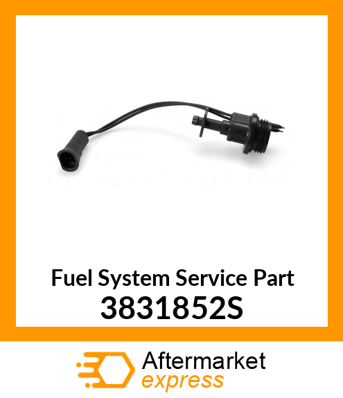 Fuel System Service Part 3831852S