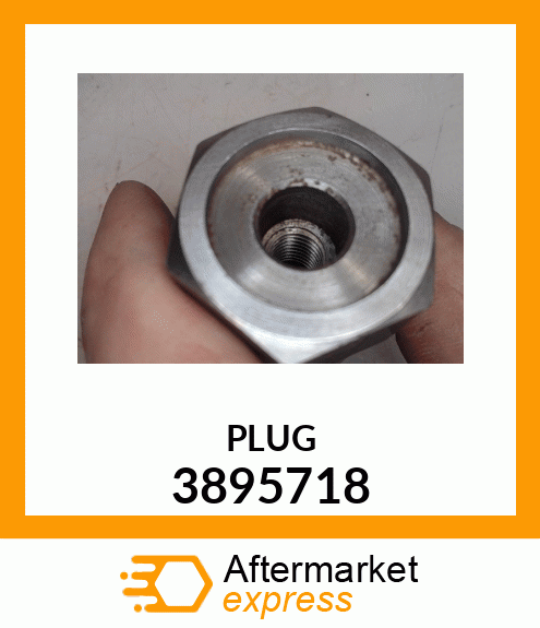 PLUG 3895718