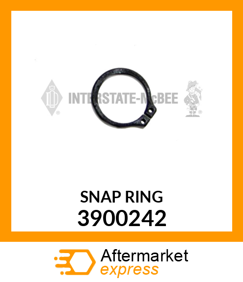 RETAINING RING 3900242