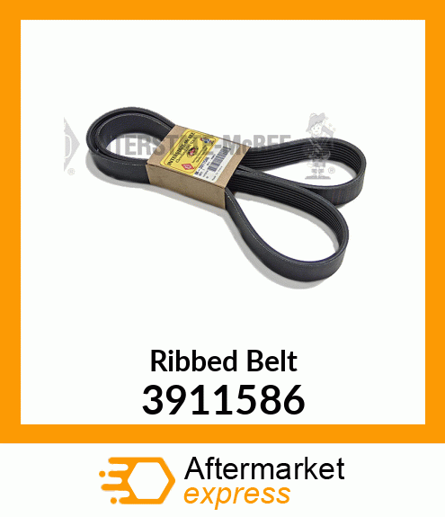 Ribbed Belt 3911586