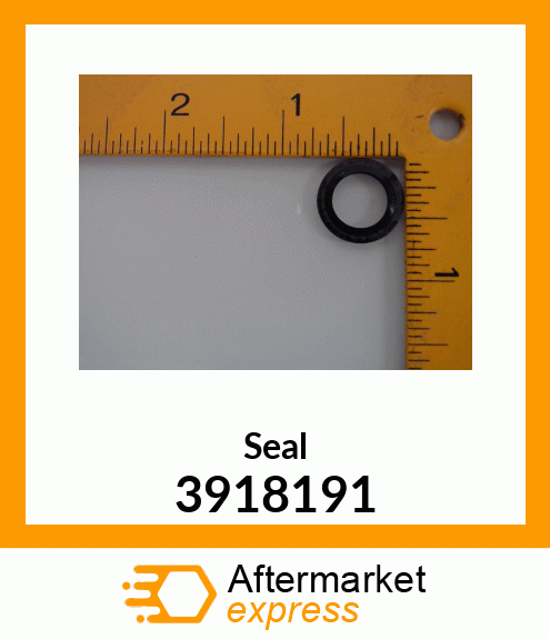 Seal 3918191