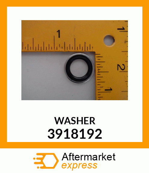 WASHER 3918192