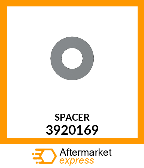 SPACER 3920169