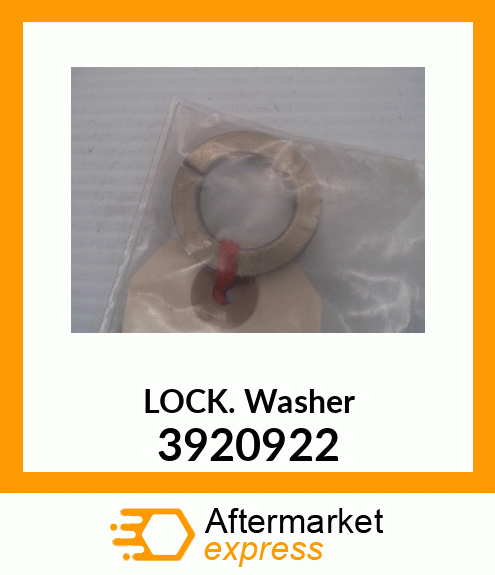 WASHER 3920922