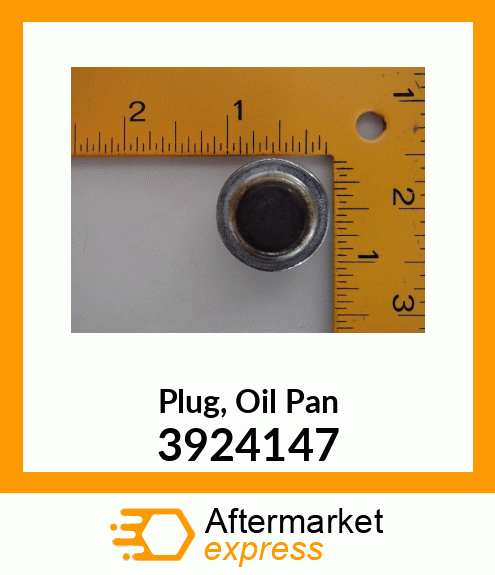 PLUG/MAGNET 3924147