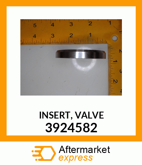 INSERT,VALVE 3924582