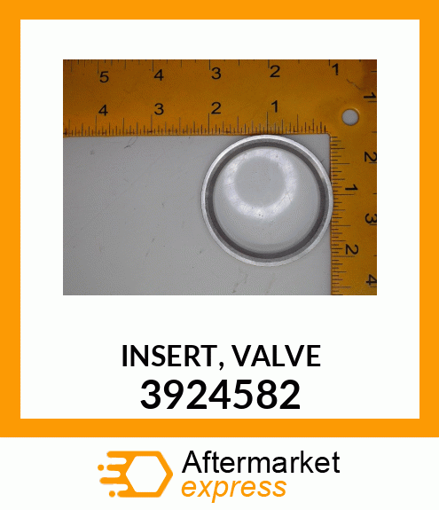 INSERT,VALVE 3924582