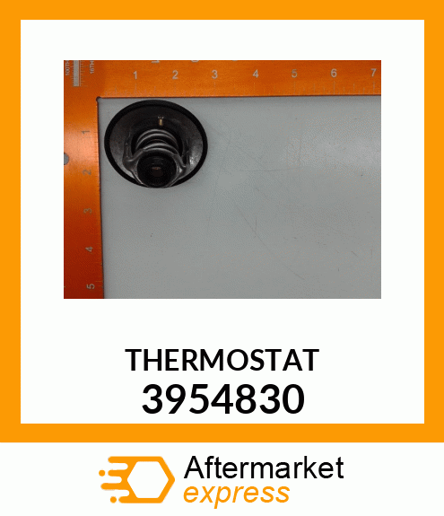 THERMOSTAT 3954830