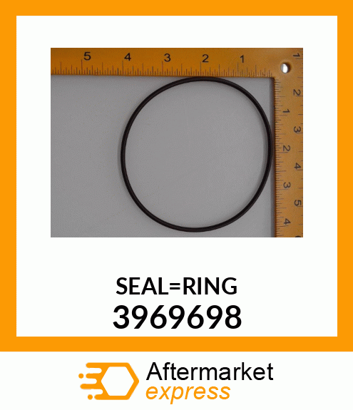 SEAL_RING 3969698