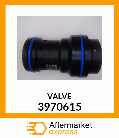 VALVE 3970615