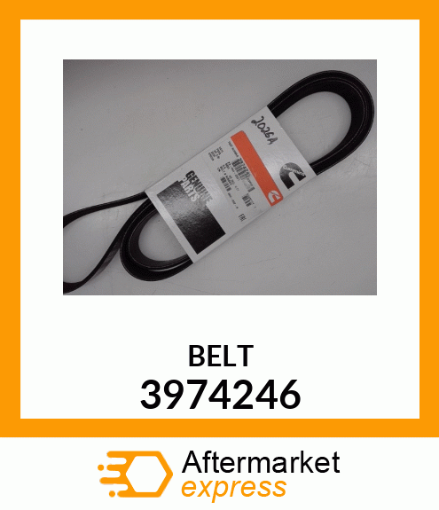 BELT 3974246