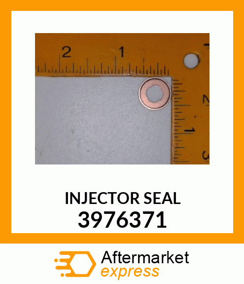 SEAL INJECTOR 3976371