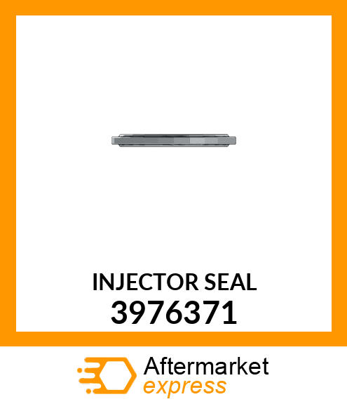 SEAL INJECTOR 3976371