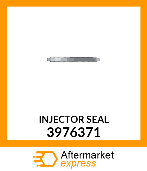 SEAL INJECTOR 3976371