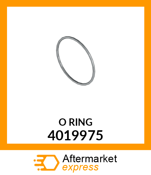 ORING 4019975