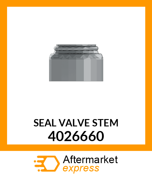 SEAL VALVE STEM 4026660