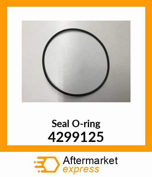 Seal O-ring 4299125