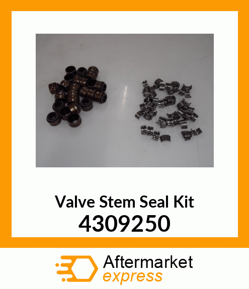 VALVE_SEAL_K72P 4309250