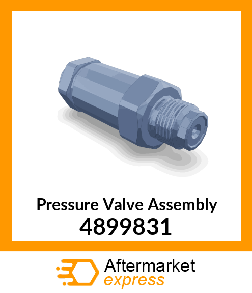 Pressure Valve Assembly 4899831