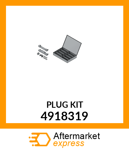 PLUG_KIT 4918319