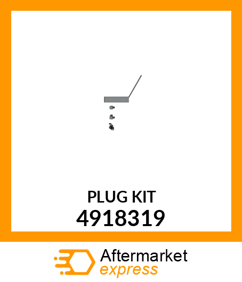 PLUG_KIT 4918319