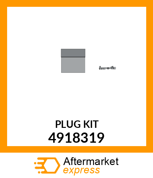 PLUG_KIT 4918319